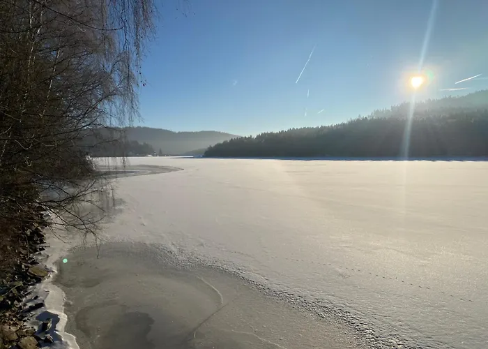 Apartman Verca Riviera Lipno 510
