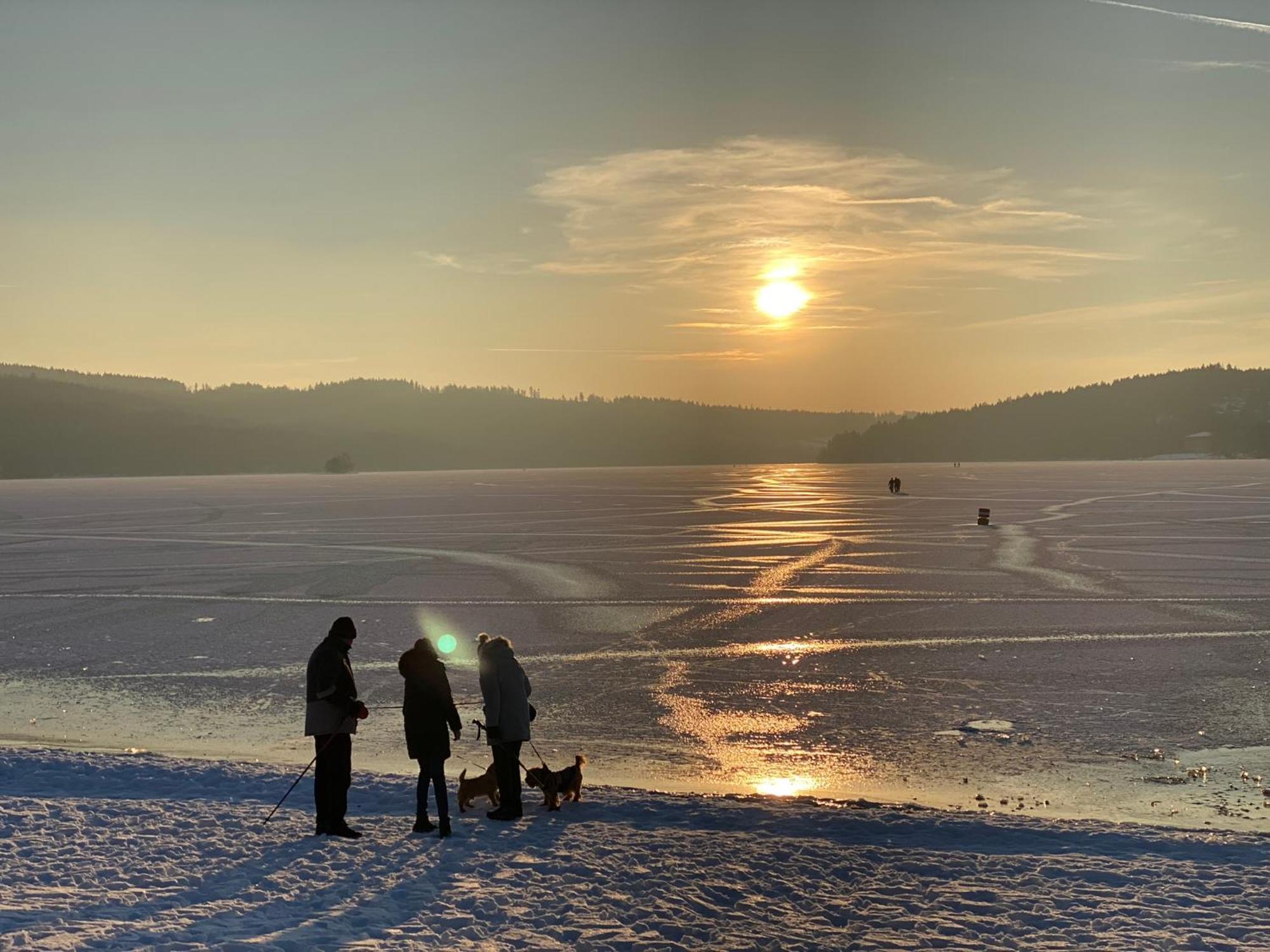 Apartament Verca Riviera Lipno 510 Lipno nad Vltavou